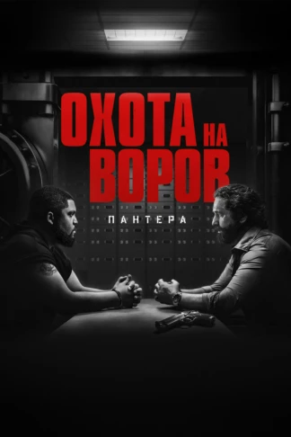 Охота на воров 2: Пантера