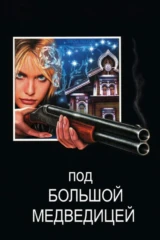 Под Большой медведицей
