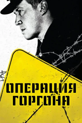Операция «Горгона»