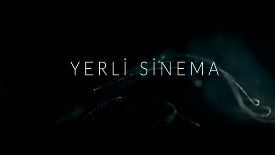 Yerli Sinema