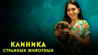 Клиника странных животных