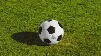 Dünyadan Spor