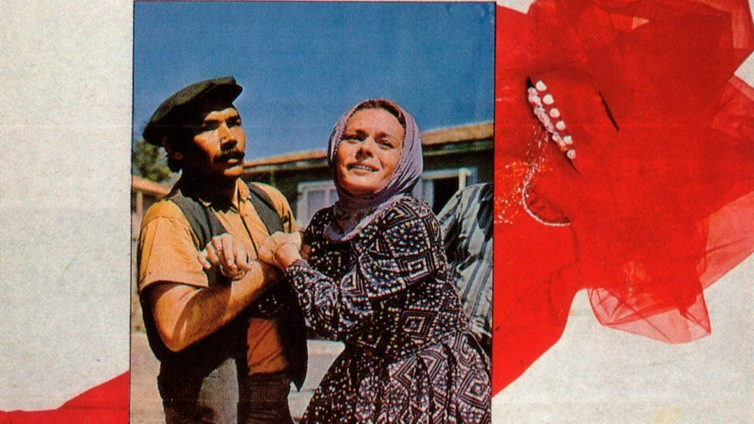 Фильм Düğün