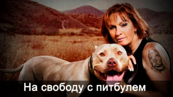 На свободу с питбулем