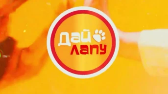 Дай лапу!