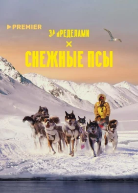 Снежные псы