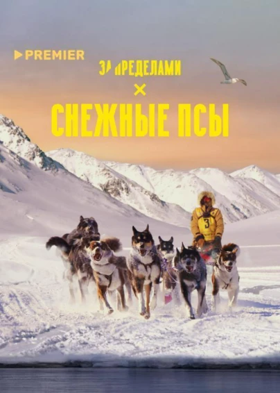 Снежные псы