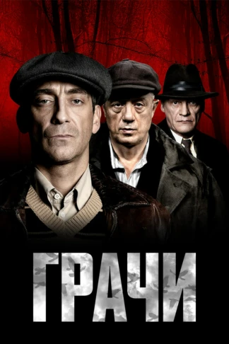 Грачи