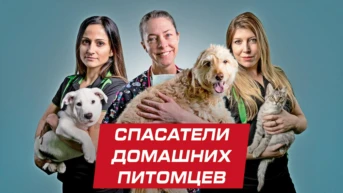 Спасатели домашних питомцев