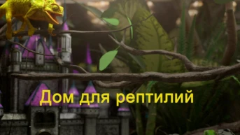 Дом для рептилий