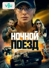 Ночной поезд