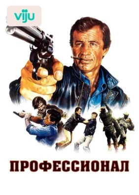 Профессионал