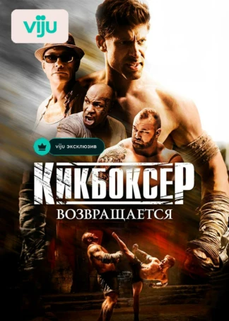Кикбоксер возвращается