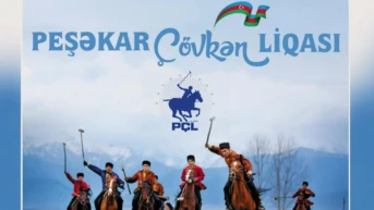 Peşəkar Çövkən Liqası