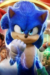 Kirpi Sonic 2