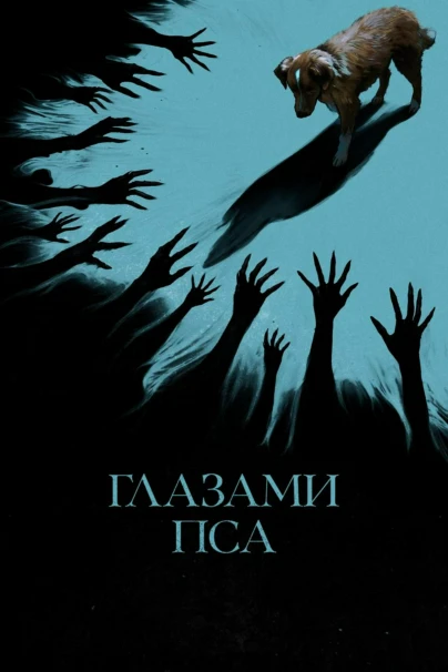 Глазами пса