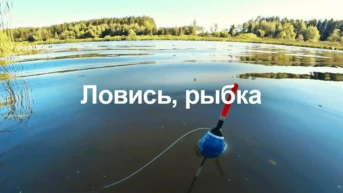 Ловись, рыбка