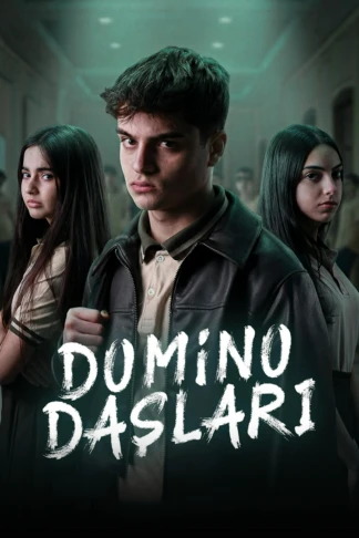 Domino daşları