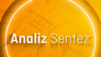 Analiz Sentez