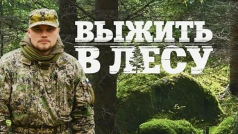 Выжить в лесу