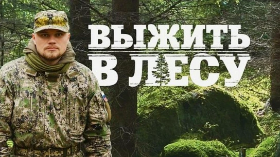 Выжить в лесу