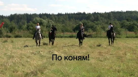 По коням!