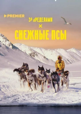 Снежные псы