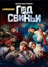 Год свиньи