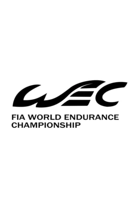 Автогонки на выносливость: World Championship FIA WEC - 6 часов Трассы Америк Review