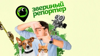 Звериный репортёр