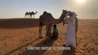Магия ветра и песка