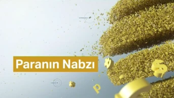 Paranın Nabzı