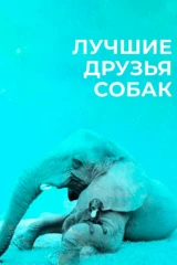 Лучшие друзья