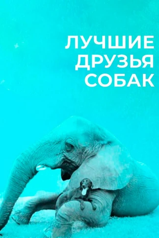 Лучшие друзья