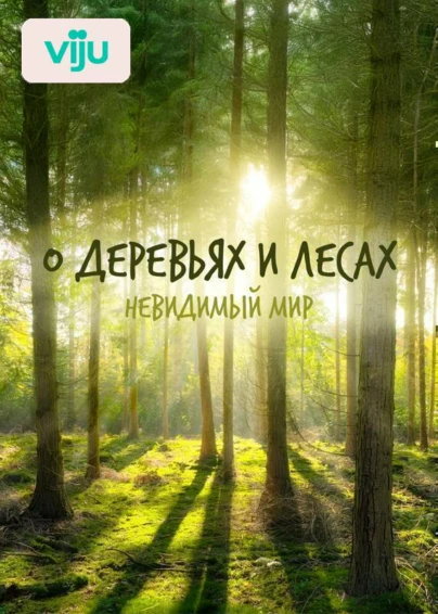 О деревьях и лесах. Невидимый мир