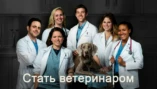 Критический момент