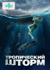 Тропический шторм