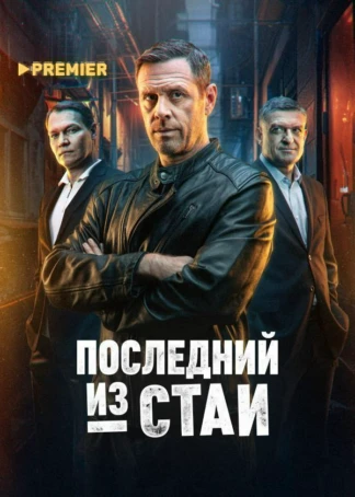 Последний из стаи