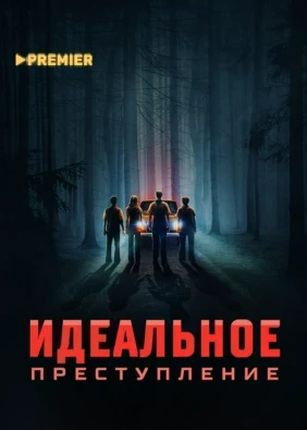 Идеальное преступление