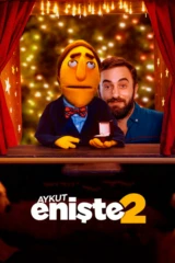 Aykut Enişte 2