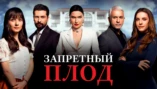 1-я серия