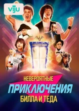 Невероятные приключения Билла и Теда