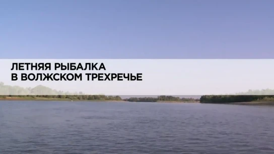 Летняя рыбалка в волжском трехречье