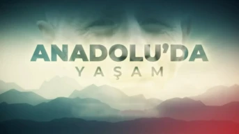 Anadolu'da Yaşam