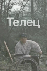 Телец