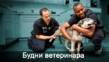 Ребята-кенгурята