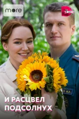 И расцвел подсолнух