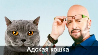 Адская кошка