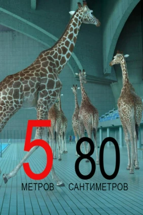 5,80 метров
