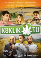 Kəklikotu